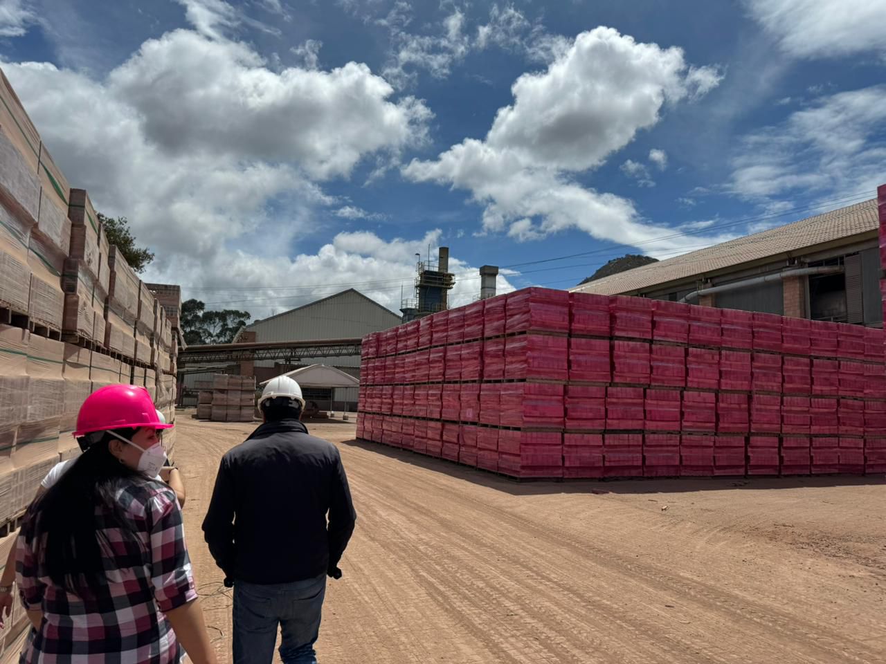 Consultoria Ambiental