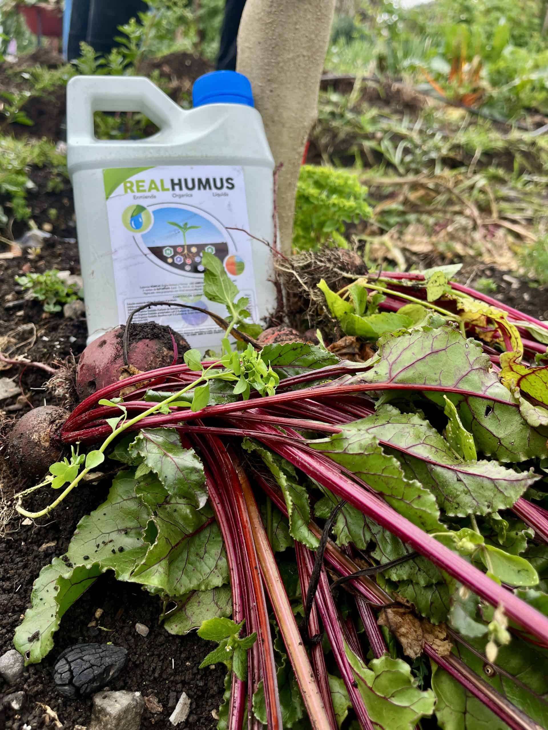 Fertilizantes Orgánicos