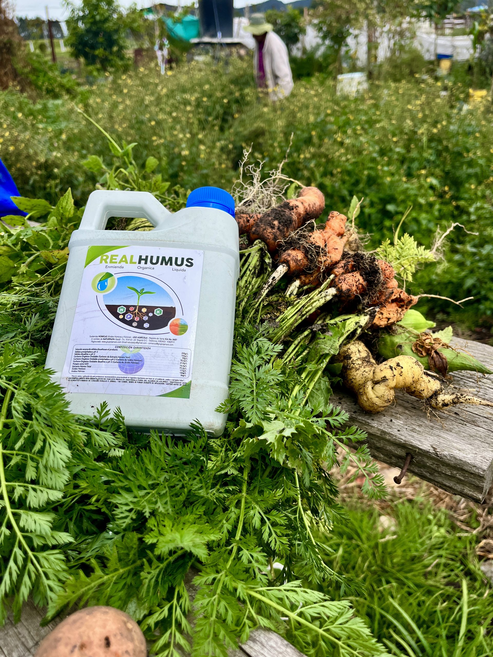 Fertilizante orgánico natural derivado de economía circular