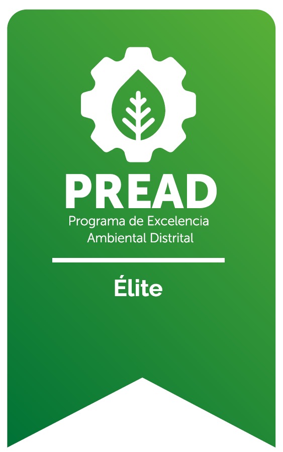 whatsapp image 2025 12 05 at 11.43.16 am